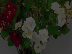 सिमुलेटेड गुलाब फूल क्रॉस बॉर्डर बहु सिर सिमुलेटेड फूल कृत्रिम गुलदस्ता शादी की सजावट