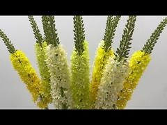 सजावट लोमड़ी की पूंछ घास अनुकरण फूल घर लिविंग रूम घोड़े की पूंछ फूल उड़ती स्वोलो घास फ्लोर