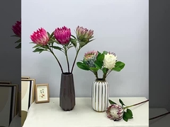 वसंत रंग सिमुलेशन राजा फूल शूटिंग दृश्य सम्राट फूल घर नकली फूल सजावट शादी