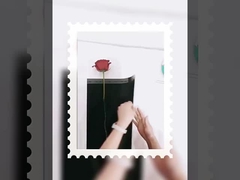 देवी एकल छोटी गुलदस्ता पैकेजिंग पारदर्शी अप जलरोधी फिल्म फूल कागज DIY साथी में लिपटे