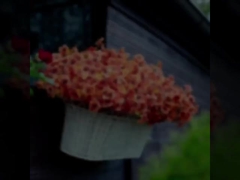 आउटडोर त्योहारों की सजावट, शरद ऋतु के पौधे, कृत्रिम यूकेलिप्टस पत्ते, यूकेलिप्टस वायलेट, डेज़ी