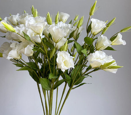 अच्छी कीमत 3 टुकड़े नकली कैंपनुला फूल, घर की सजावट के आभूषण, रेशम के फूल, फोटोग्राफी के सामान, शादी के मार्गदर्शक, दृश्य, नकली फूल गुलदस्ते ऑनलाइन