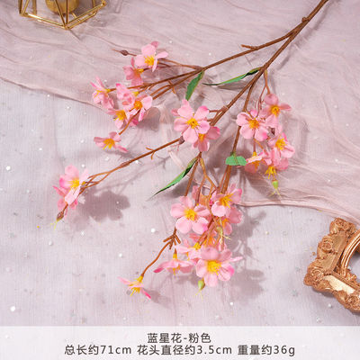 अच्छी कीमत ब्लू स्टार फूल सिमुलेशन फूल नकली गुलदस्ता कृत्रिम रेशम फूल प्लास्टिक सम्मिलन फूल सजावट शादी की सजावट लिविंग रूम सजावट ऑनलाइन